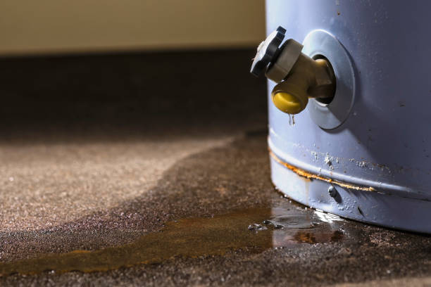 Best Water damage restoration near me  in Bel Air, MD