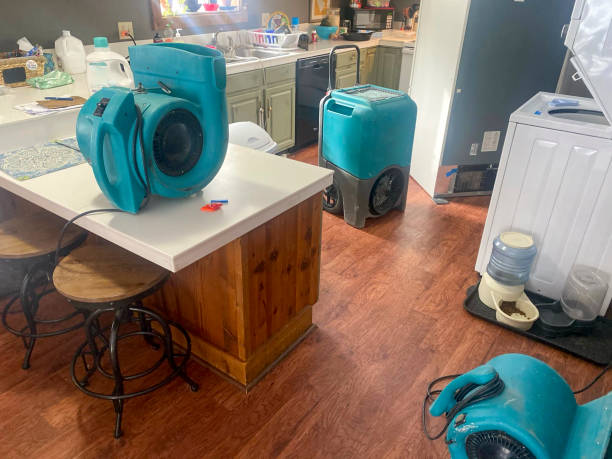 Best Water damage restoration cost  in Bel Air, MD