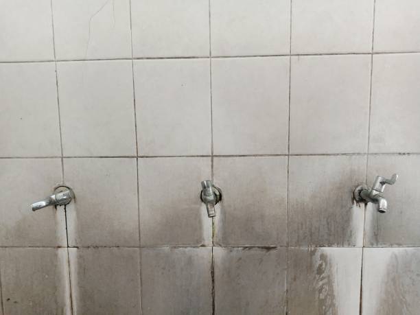 Best Sewage cleanup and water damage restoration  in Bel Air, MD