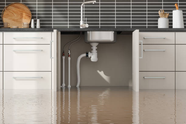 Best Fire Damage Restoration  in Bel Air, MD