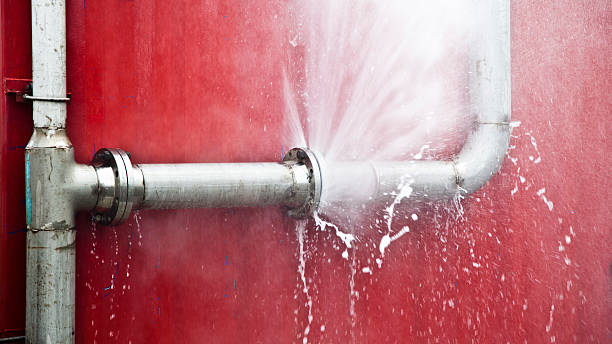 Best Flood damage cleanup  in Bel Air, MD